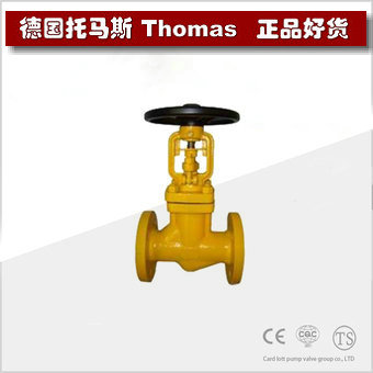 进口天然气截止阀