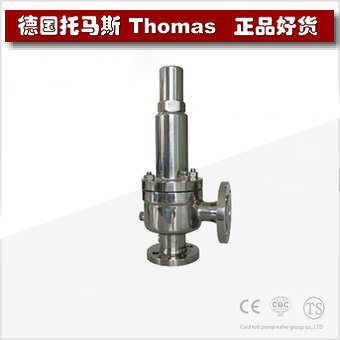 进口保温安全阀 进口保温安全阀