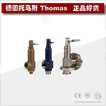 进口蒸汽安全阀 进口蒸汽安全阀