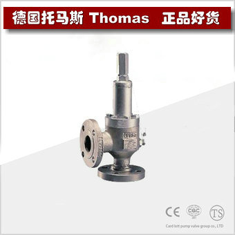 进口油用安全阀