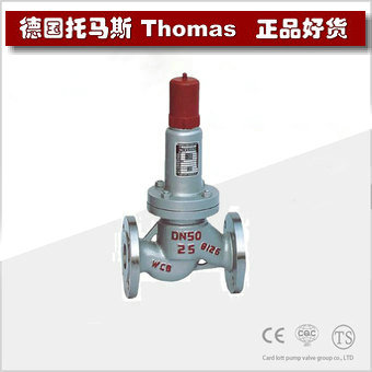 进口安全回流阀 进口安全回流阀