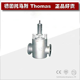 进口安全逆止阀 进口安全逆止阀