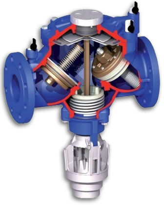 进口倒流防止器